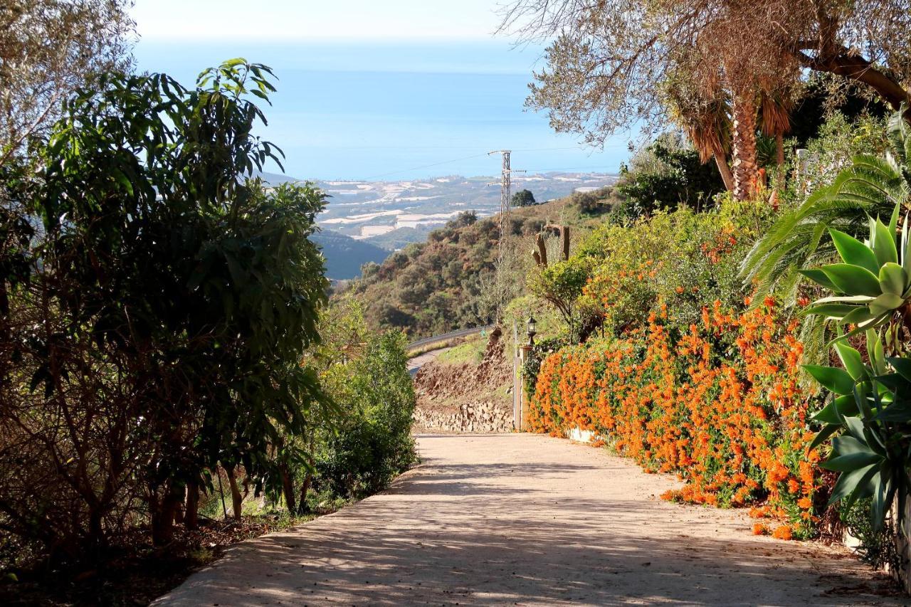 Villa Los Naranjos Sayalonga エクステリア 写真