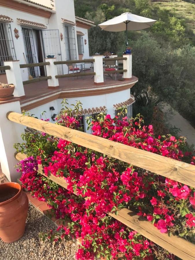 Villa Los Naranjos Sayalonga エクステリア 写真
